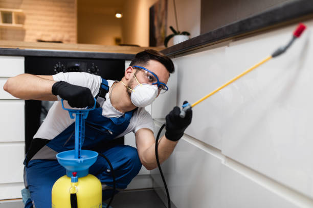 Best Ant Control Services  in Olivet, MI