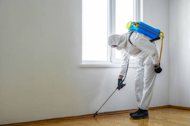 Best Pest Inspection Near Me  in Olivet, MI