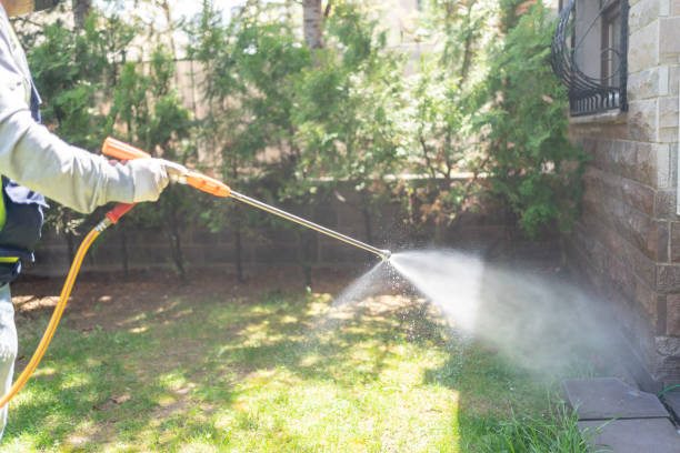 Best Cockroach Control Services  in Olivet, MI