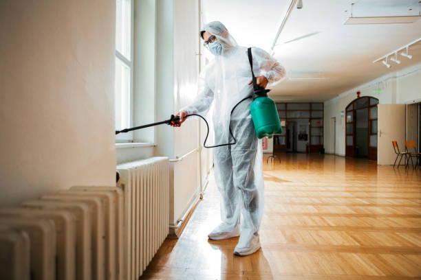 Trusted Olivet, MI Pest Control Experts