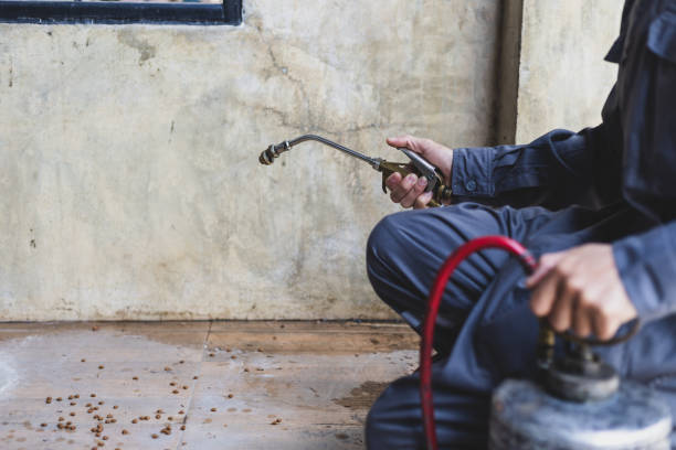 Best Termite Control Services  in Olivet, MI